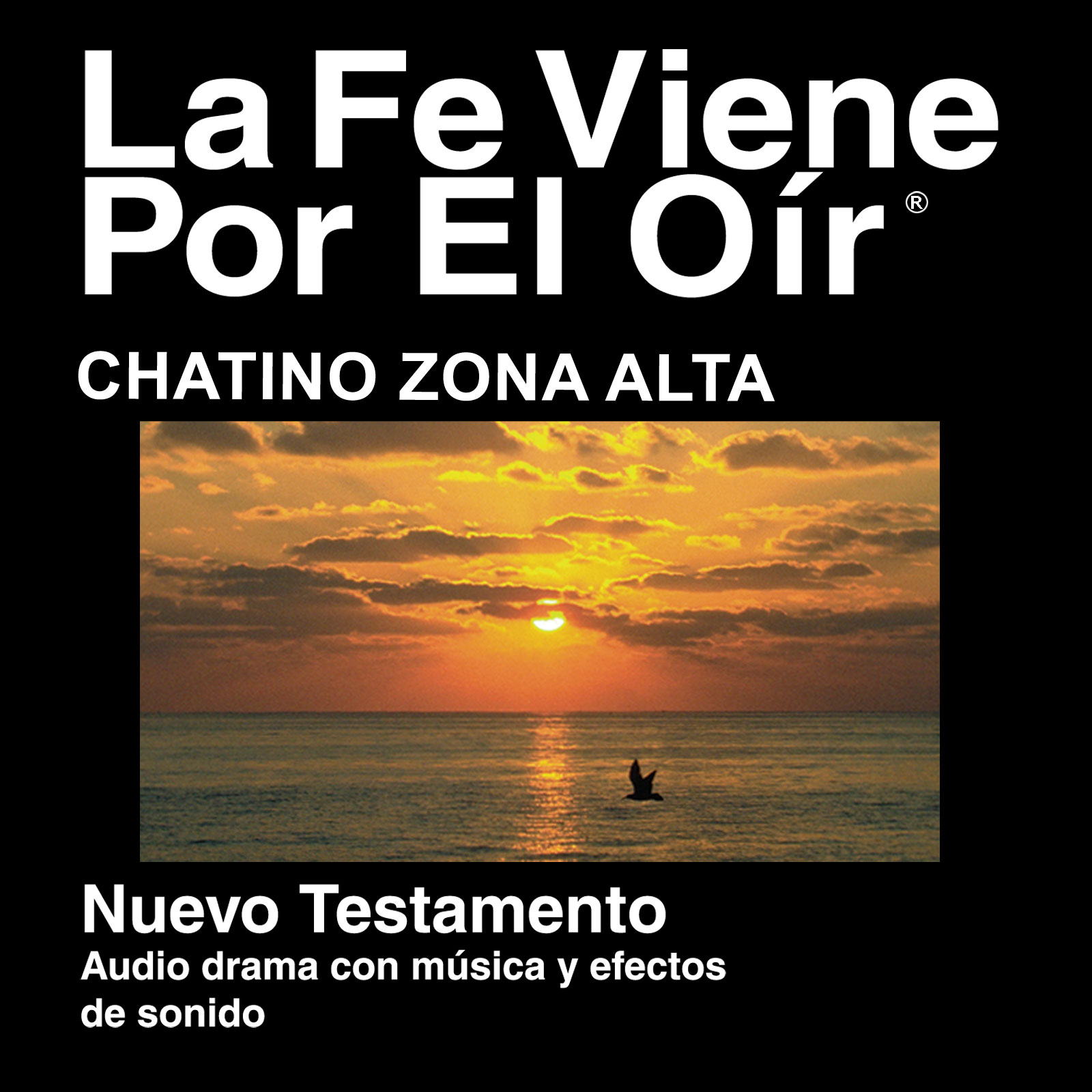 Chatino Zona Alta Biblia - Chatino Zona Alta Bible