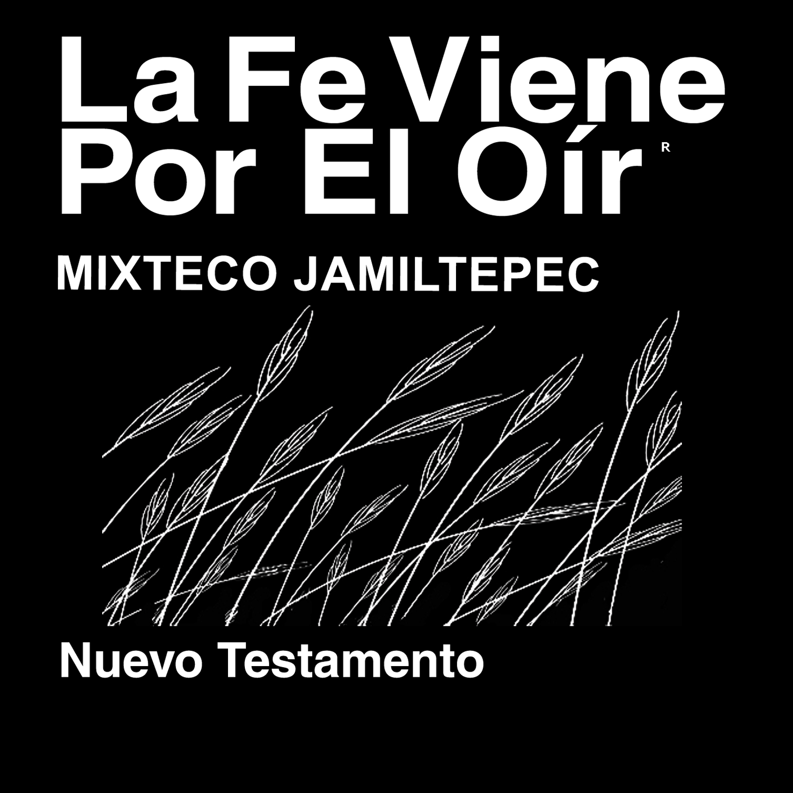 Mixteco de Jamiltepec Biblia (no dramatizada) - Mixteco de Jamiltepec Bible (Non-Dramatized)