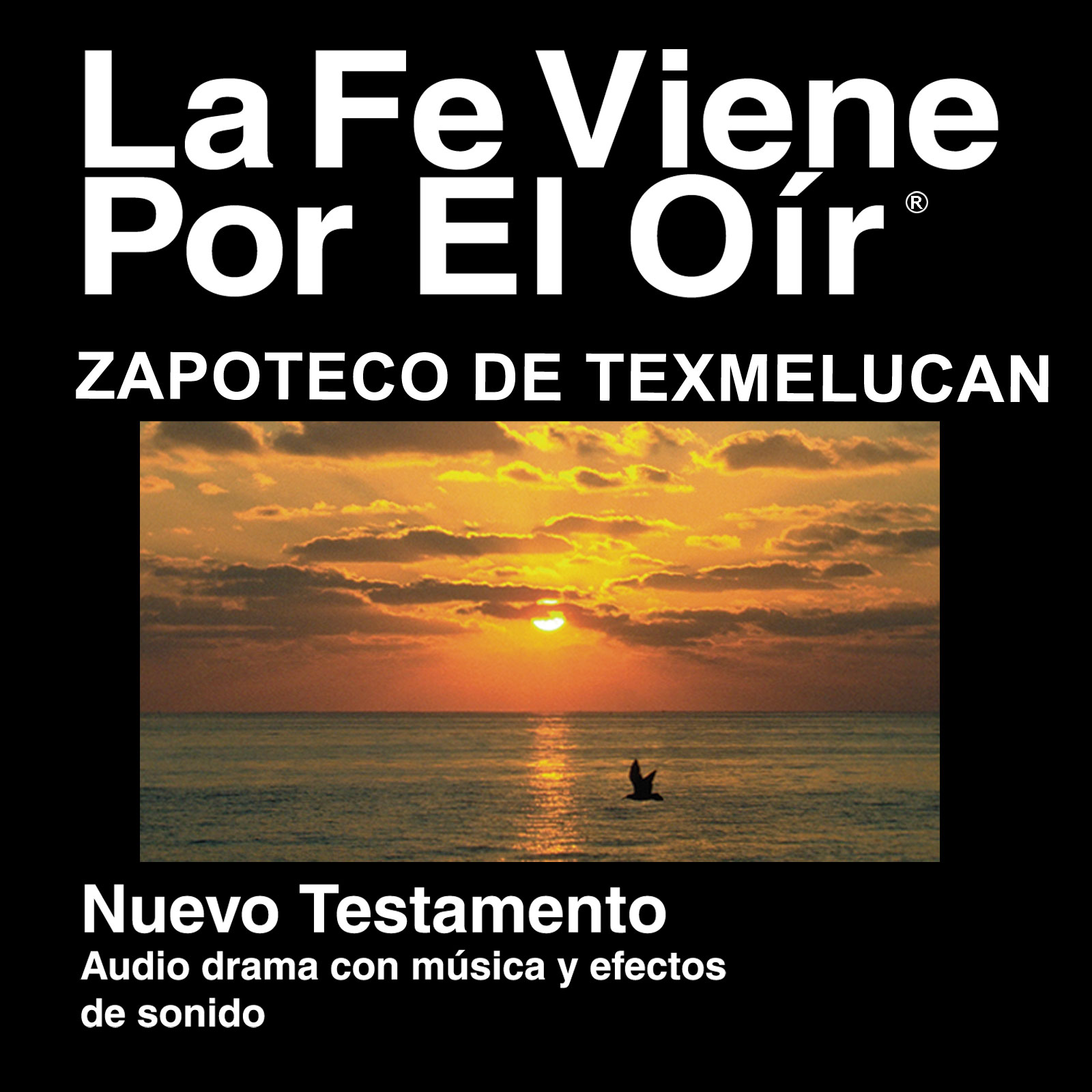 Zapoteco de Texmalucan Biblia - Zapoteco de Texmalucan Bible